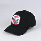 CLASSIC BLACK BASEBALL