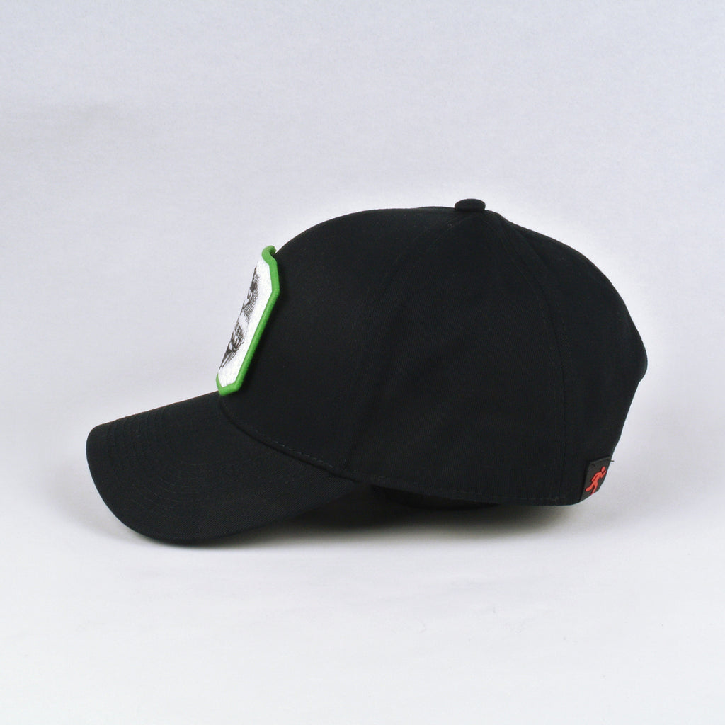 CLASSIC BLACK BASEBALL